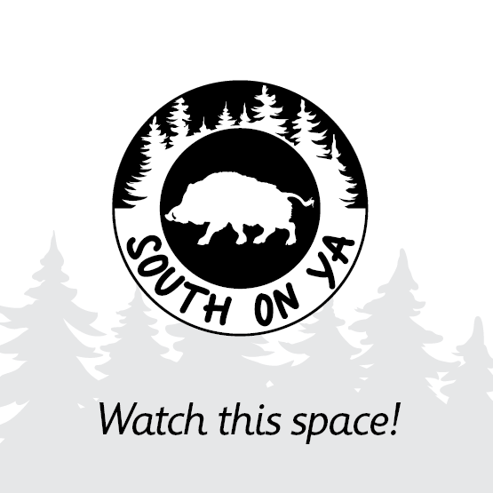 Ladies Crop Tee - Coming Soon